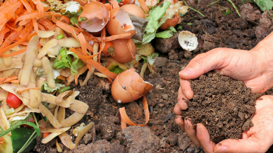 Why Compost?
